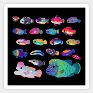 Wrasse! Sticker